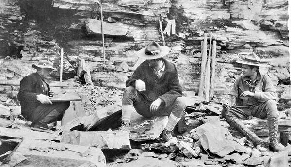 In 1909, an explorer found strange markings in the rock and unearthed the Burgess Shale, a 500-million-year-old secret