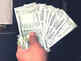 Revamp priority sector lending, says eco council
