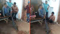 Video: MP villagers tie crocodile to tree 