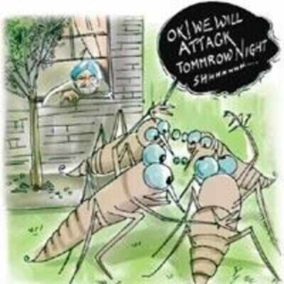 Mosquitoes planning to attack PM #39 s residence Mosquitoes planning to attack PM #39 s residence