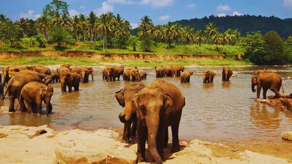 The moment I landed, I wanted to leave this country : UK tourist shares why one shouldn’t judge a destination on day one