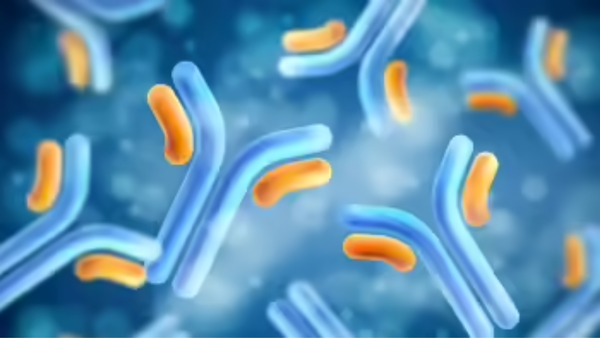 WHO warns antibiotics don’t work on 1 in 6 hospitalised patients; India among top contributors to data
