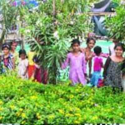 Thane Plus and green initiatives