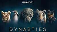 Dynasties - Official Trailer 