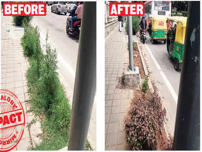 BBMP turns over a new leaf on Raj Bhavan Road