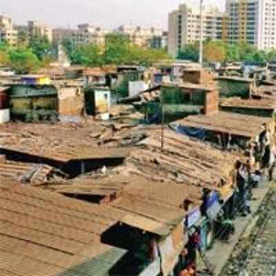 Dharavi makeover in limbo as CM stays indecisive