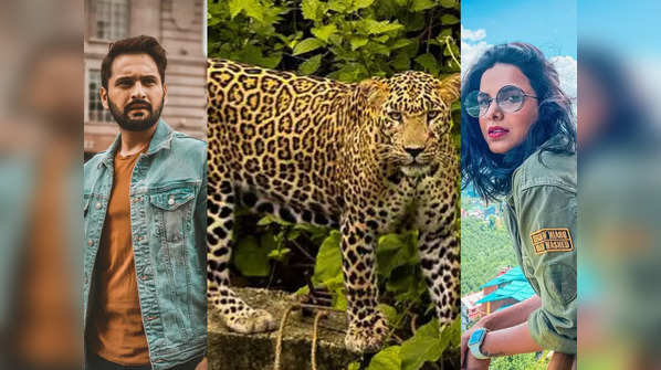 ​World photography day: Siddharth Chandekar to Mitali Mayekar; these Marathi actors are passionate about photography