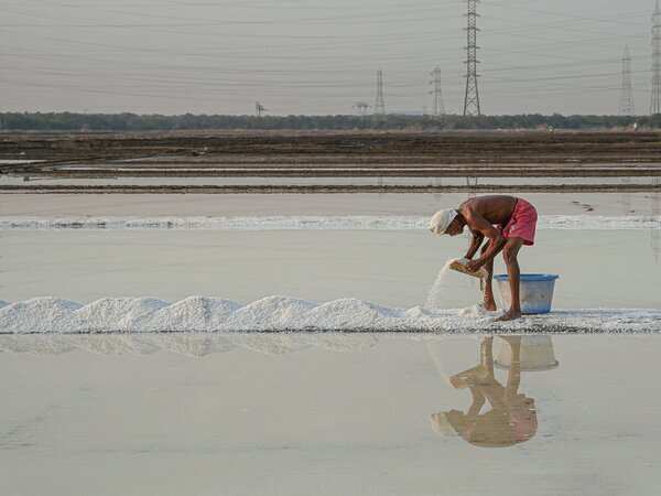 Tamil Nadu writes to Centre on renewal of salt pan leases