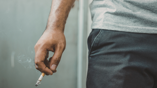 manchester cigarettes flavors Buy Manchester Cigarettes Premium Quality Tobacco in Dubai
