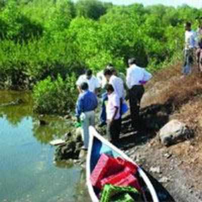 '˜Chemicals dumped at Ghansoli creek hazardous'