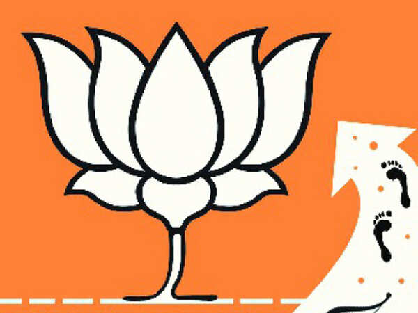 Bihar polls: Opposition’s scatter brightens  BJP's prospects in the state