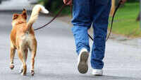 Ghaziabad residents will soon pay Rs 5000 to own pets 
