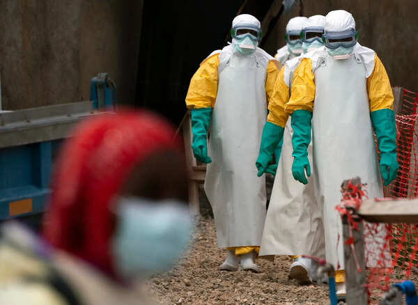 Ebola virus outbreak: WHO declares international health emergency after rare strain kills 87 in Congo