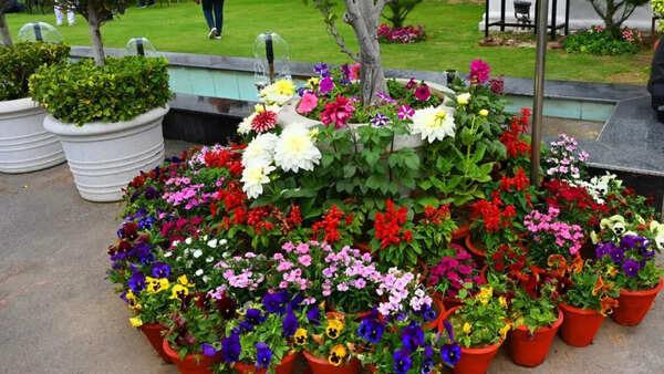 Political drama amidst floral bloom at Delhi assembly