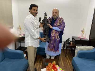 Andhra Pradesh CM YS Jaganmohan Reddy meets Home Minister Amit Shah