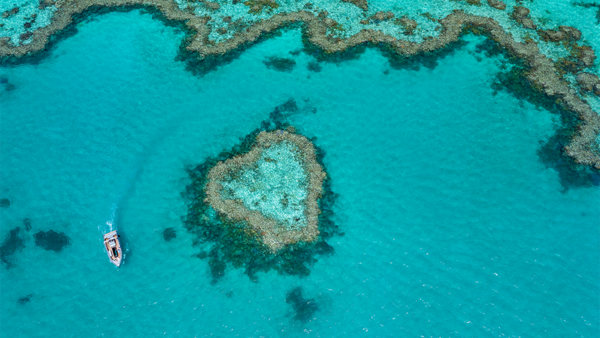 The Queensland Edit: Experiences Worth the Journey