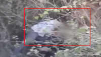 Telangana: Locals rescue woman who was assaulted by husband 