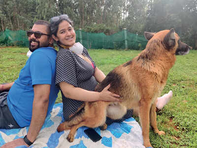 Bengaluru saw a spike in pet adoptions during the lockdown and most of them were rescue dogs and cats