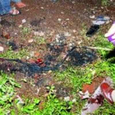 Snapped MSEDCL wire chars three teenagers to death