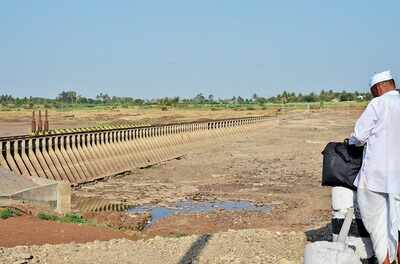 Karnataka: Congress MLA Siddu Nyamagouda who built the first private dam is no more