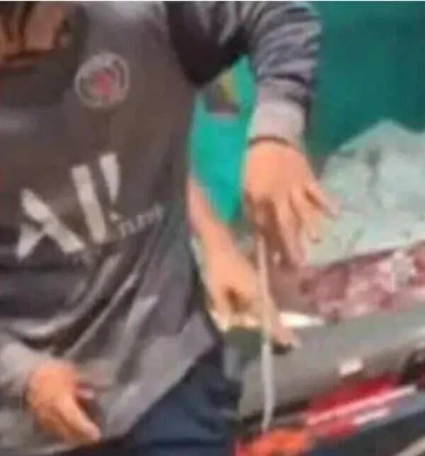 Migrant worker sparks panic after carrying snake in pocket in Malappuram