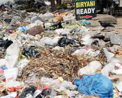 Waterless lakes, improper garbage clearance are breeding grounds for dengue in city