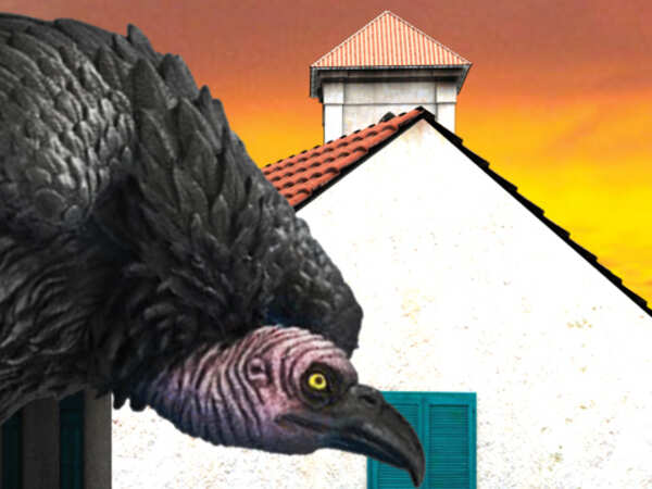 When shelter homes turn into horror homes
