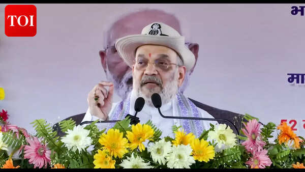 Demographic change by infiltration dangerous for country: Shah