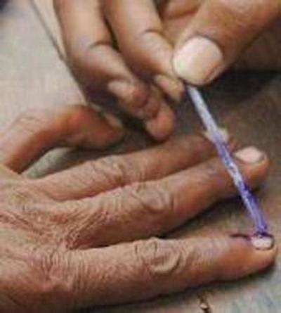MP Assembly bypoll: BJP ahead in Nepanagar seat