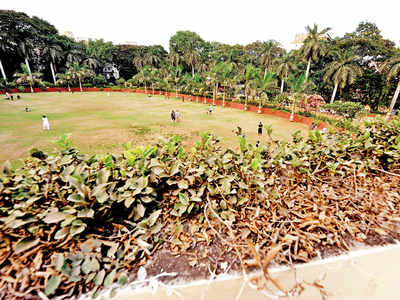 Citizens get a say in maintenance of parks and gardens