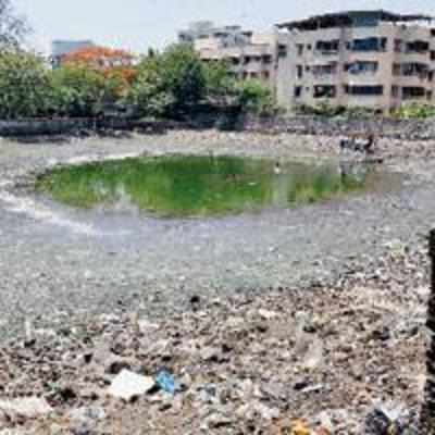 Delayed lake cleaning work causes inconvenience to residents