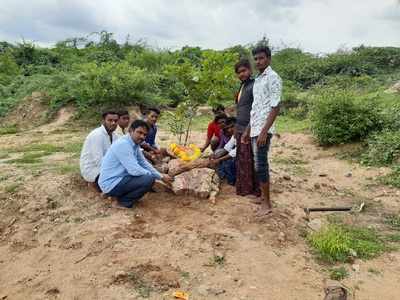 Monkey that became student of a school in Andhra village, died in stray dogs attack