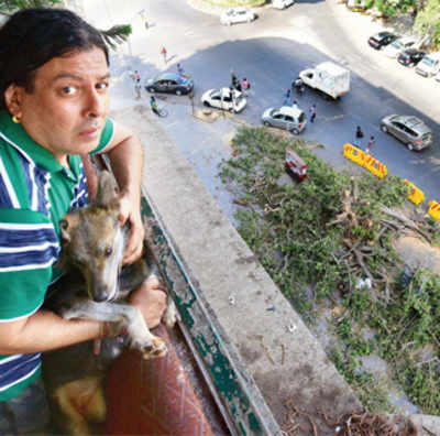 Mumbai Metro 3 work: Impassioned Churchgate residents duel with MMRC staffers and police over felling of 100-year-old fig tree
