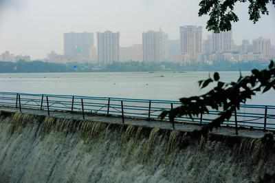 Security guard murdered for opposing illegal fishing in Powai lake