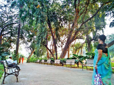 Cash-strapped BMC to spend Rs 35 crore on creating urban forests in existing open spaces