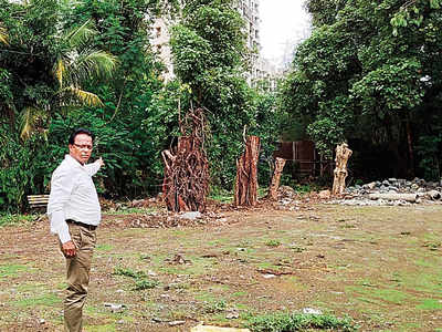 Developer gets Thane Municipal Corporation notice for ‘butchering’ 15 trees  replanted on Pokhran Road No. 1