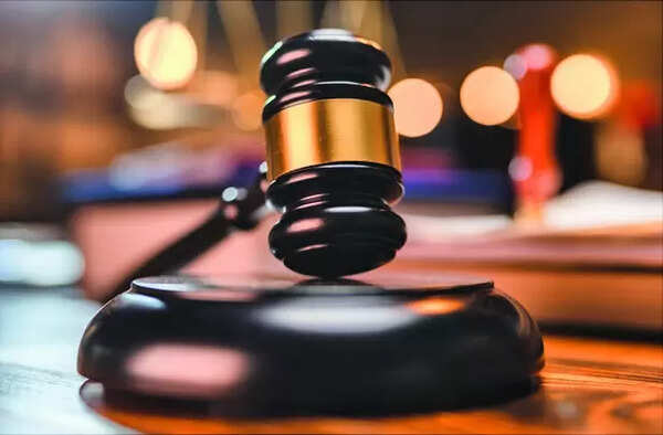 Karnataka HC cites human error, recalls child porn judgment