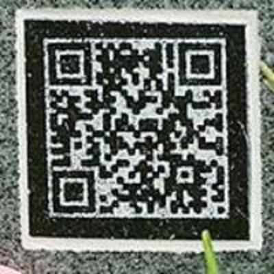 Grave stone QR codes to connect with the dead