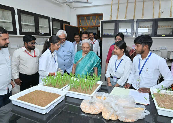 ‘Students must balance innovation, values’