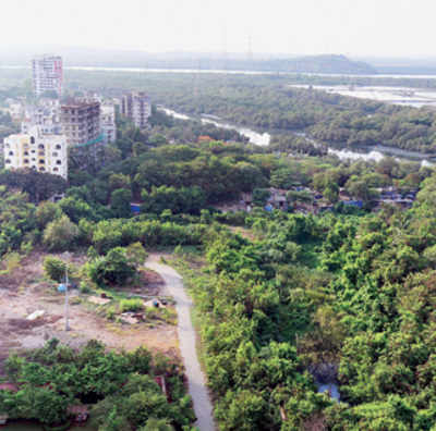 After builders, mangroves under threat from BMC!