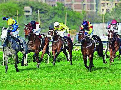 Big purse on offer for Galloping Goldmines