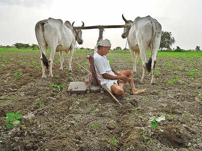 Maharashtra govt may announce farmers’ loan waiver scheme this week