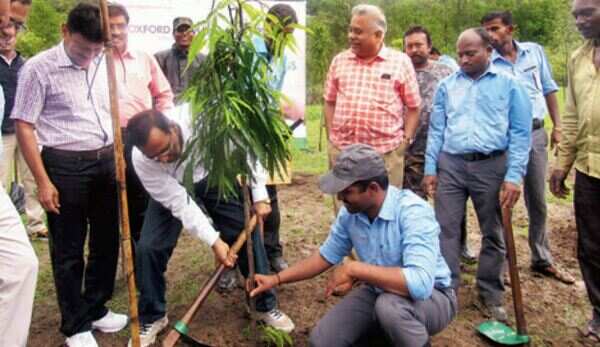 Citizens lend support to tree plantation initiatives