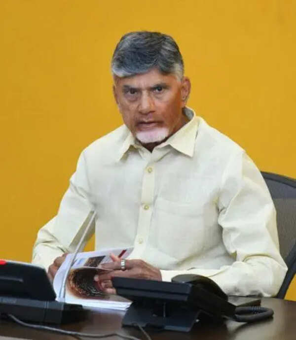 Naidu seeks central support for maize farmers in Andhra Pradesh