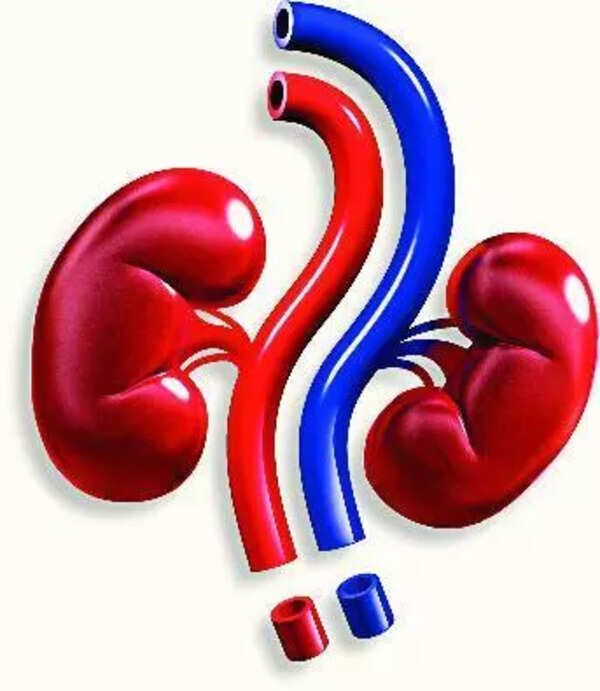 Surge in kidney disease: NIMS treats 500 new cases a month