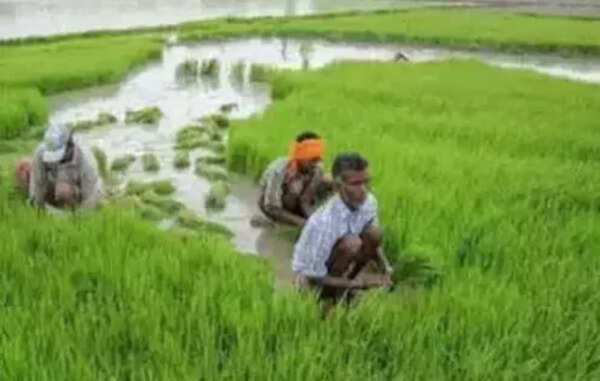 Morcha wants tenant farmer recognition