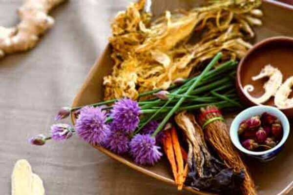 10 herbs to battle diabetes