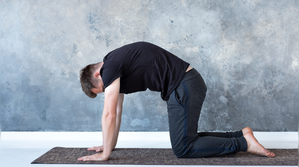 Cat-cow stretch (Marjaryasana - Bitilasana)