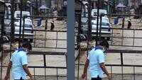 Covid-19: Primary contacts spread virus the most in Bengaluru 