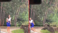 Watch: Why trying to get photographed with a bear is not a good idea 